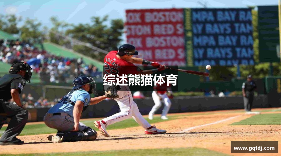 综述熊猫体育